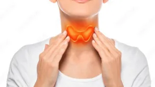 Thyroid gland 