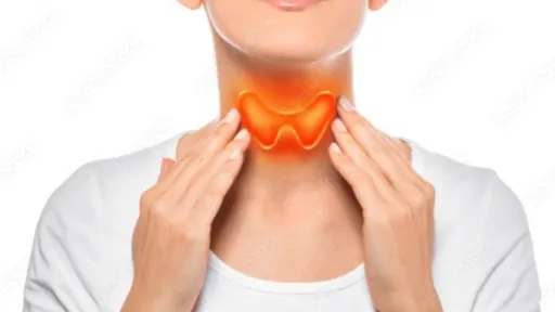 Thyroid gland 