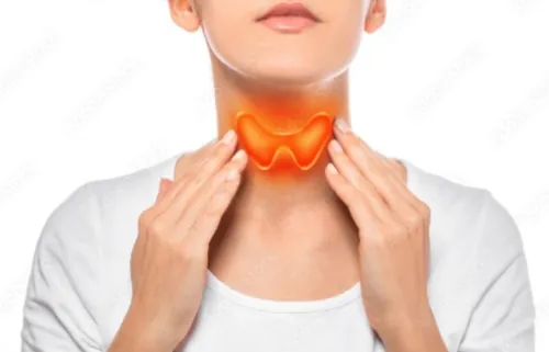 Thyroid gland