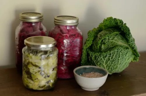 Home made fermented foods, probiotics and autism friendly diet in Nigeria 